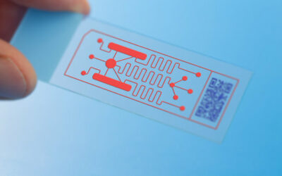 [closed] Postdoc fellowships 2023