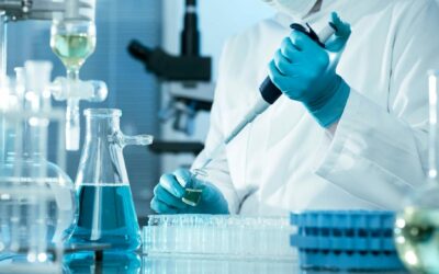 [closed] 2023 PhD fellowships call