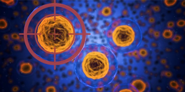 Seminar: « Le boom des CAR-T cells »